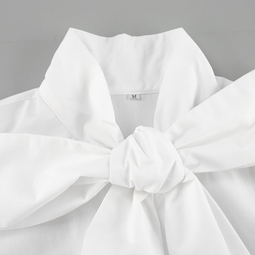 Big Bow Collar Shirt
