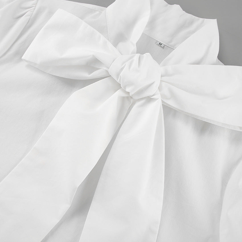 Big Bow Collar Shirt